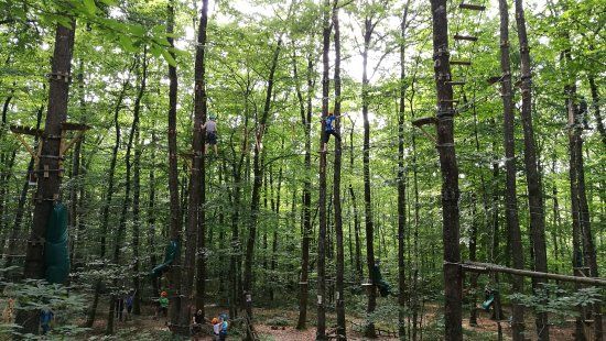 Parcours Aventure Fun Forest