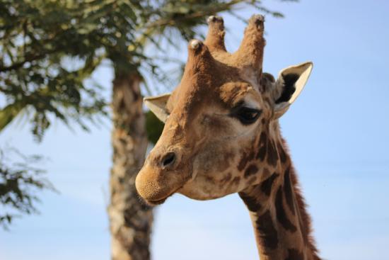 Parc zoologique Terra Natura