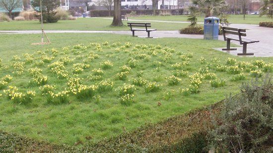 Crawley Memorial Gardens