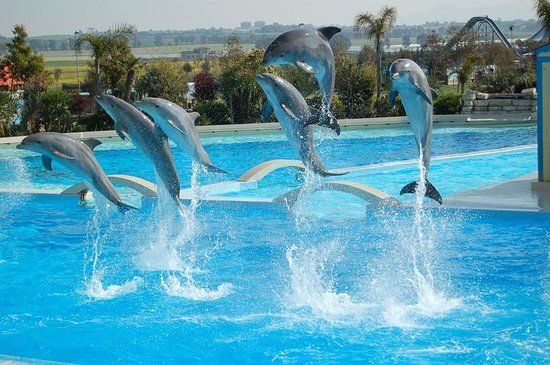 Parc aquatique Zoomarine