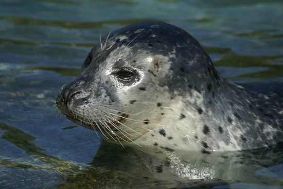 Parc Zoologique de Fort-Mardyck
