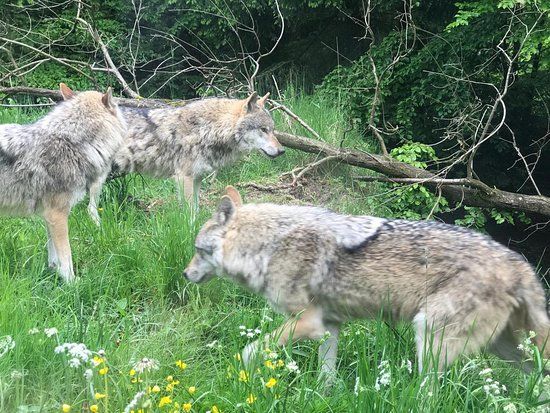 Parc animalier Bruderhaus