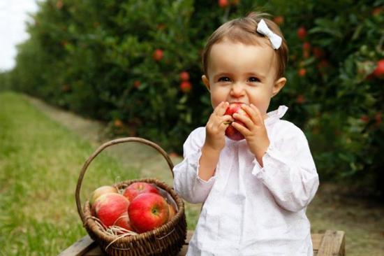 Ferme de la Chasseloire