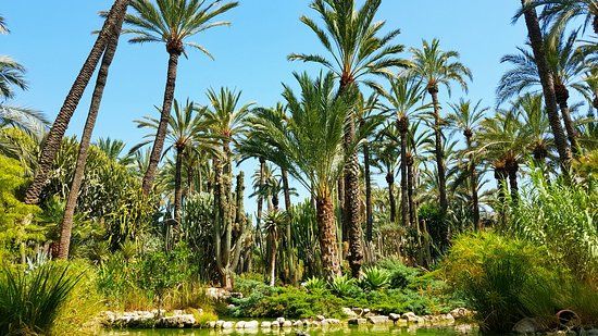 Jardin Huerto del Cura