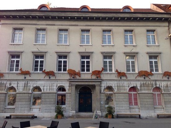 Musée d'histoire naturelle d'Olten