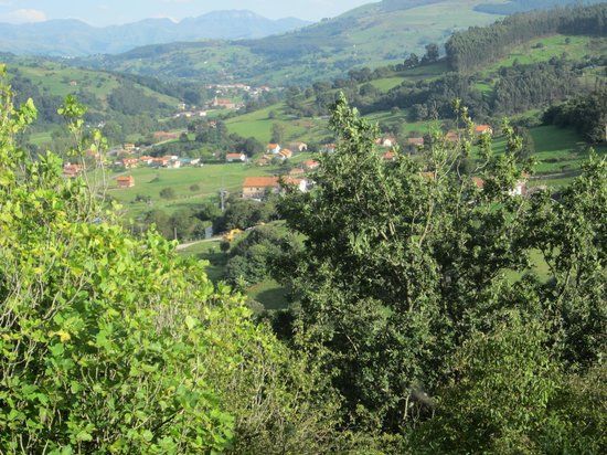 Grotte d'El Castillo