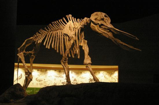 Centre historique du Roi Abdulaziz