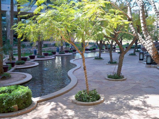 Centre des sciences de l'Arizona