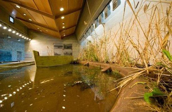 Musée de l'Environnement de Stymphalia