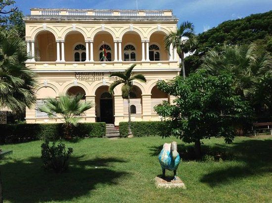 Musée d'histoire naturelle