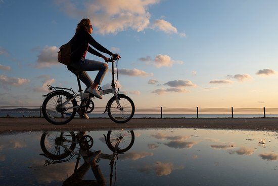 Fenerbahçe Spor Kulübü