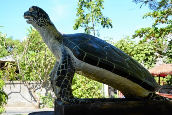 Centre pédagogique et de protection des tortues