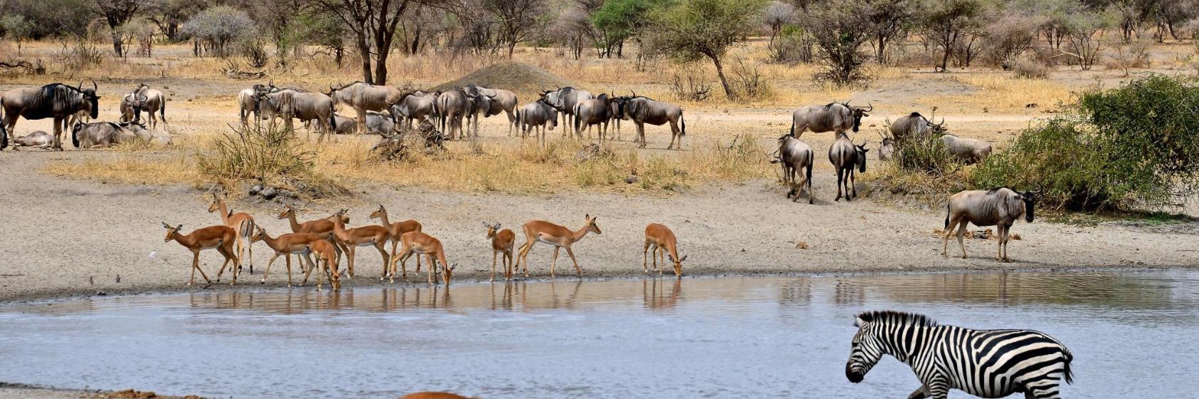 Parc national Paul Kruger