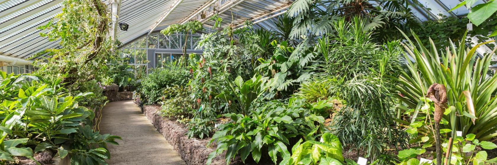 Jardin botanique de Berlin
