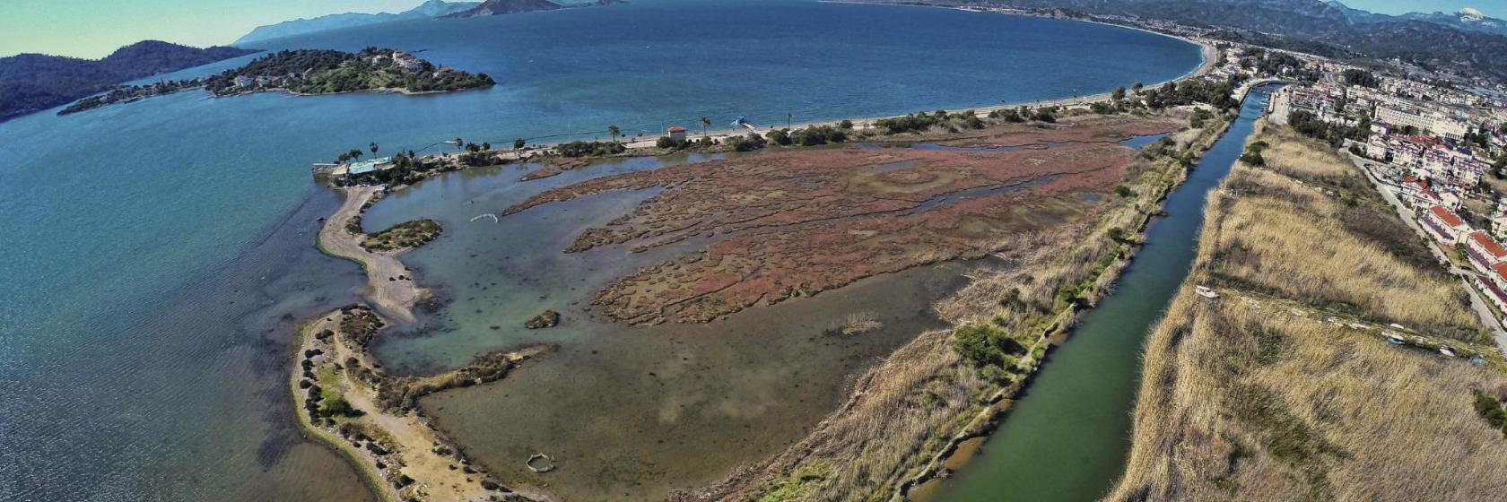 Sanctuaire des oiseaux de Calis