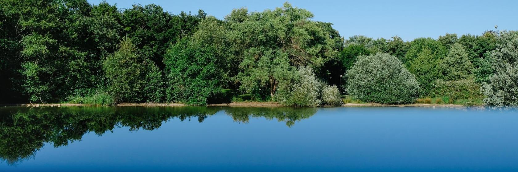 Parc Martin Luther King