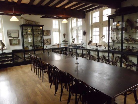 Musée d'histoire naturelle