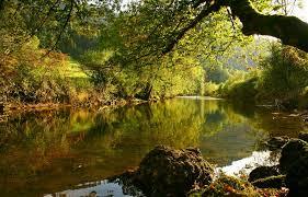Vallée du Dessoubre
