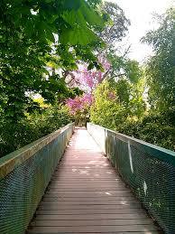 Jardin des Plantes