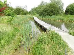 Parc des Ardoisières