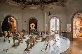Muséum des sciences naturelles d'Angers