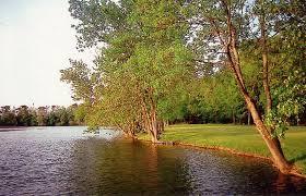 Parc de la Ballastière