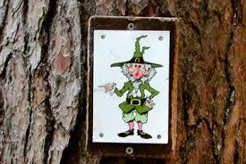 Naturerlebnispfad Hinterzarten