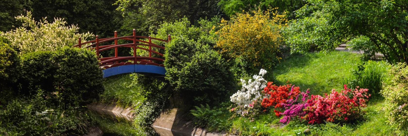 La Bambouseraie en Cévennes