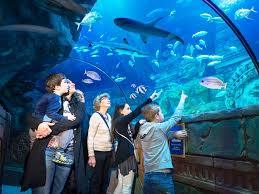 Parc aquatique Sea Life Jesolo