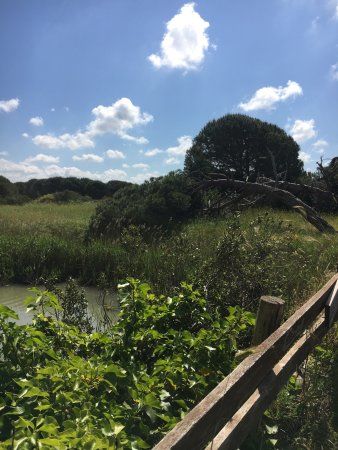 Réserve naturelle Oasi di Macchiagrande