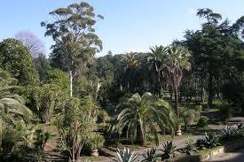 Jardin botanique de Portici