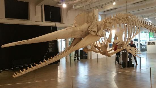 Musée de la Nature de Brabant