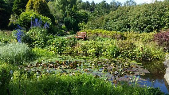 Jardin botanique de St Andrews