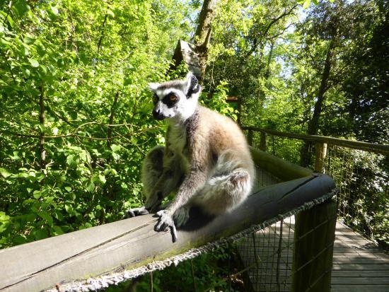 Réserve Zoologique de Calviac