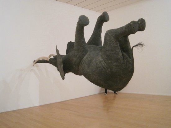 Musée d'Art Contemporain