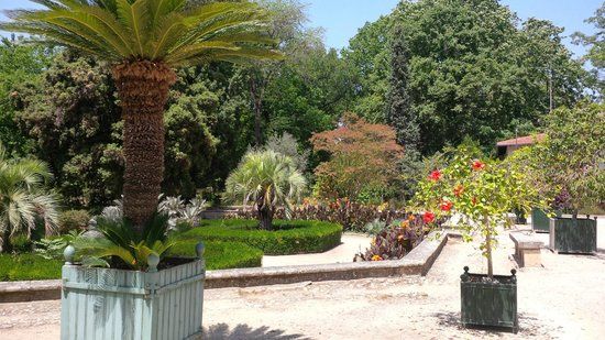 Jardin des plantes