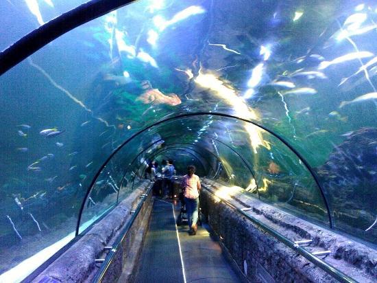 Parc à thèmes Ancol Dreamland