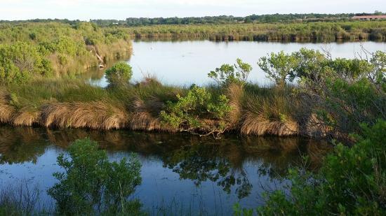 Sentier du Delta de la Leyre