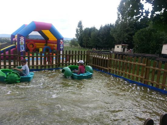 Les Animaux des Petits Bois