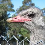 La Muraille De Chine