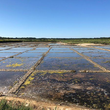 Visite Solorge de Rostu avec un Paludier
