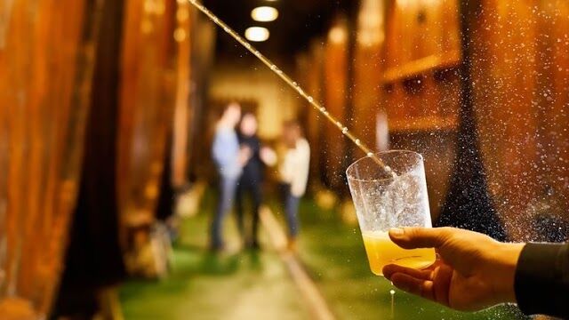 Petritegi Sagardotegia