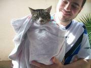 Restaurante Do Batata