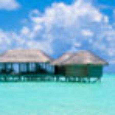 Coco Ichibanya Ishinomaki Hebita